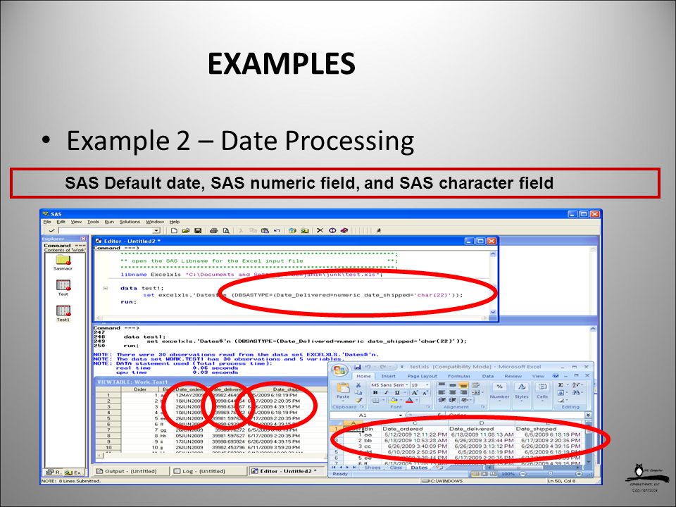 Copyright 2009 EXAMPLES Example 2 – Date Processing SAS Default date, SAS numeric field, and SAS character field