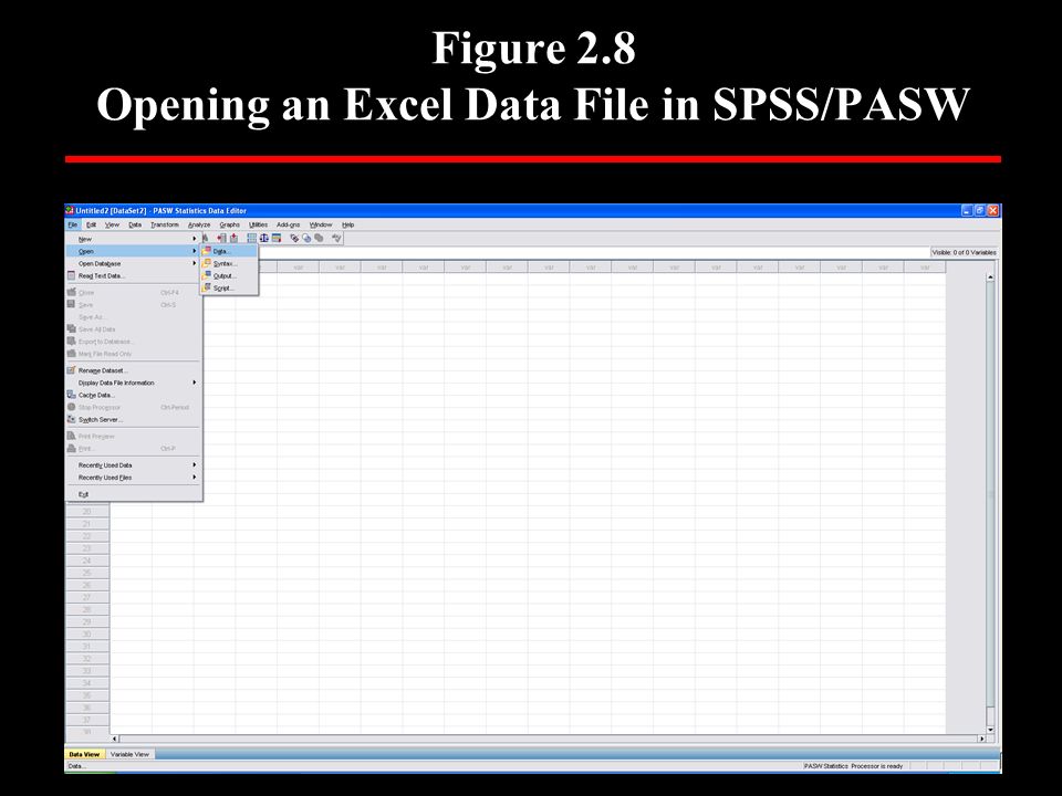 Figure 2.8 Opening an Excel Data File in SPSS/PASW