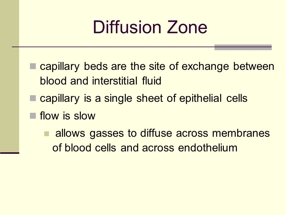 Diffusion Zone capillary beds are the site of exchange between blood and interstitial fluid capillary is a single sheet of epithelial cells flow is slow allows gasses to diffuse across membranes of blood cells and across endothelium