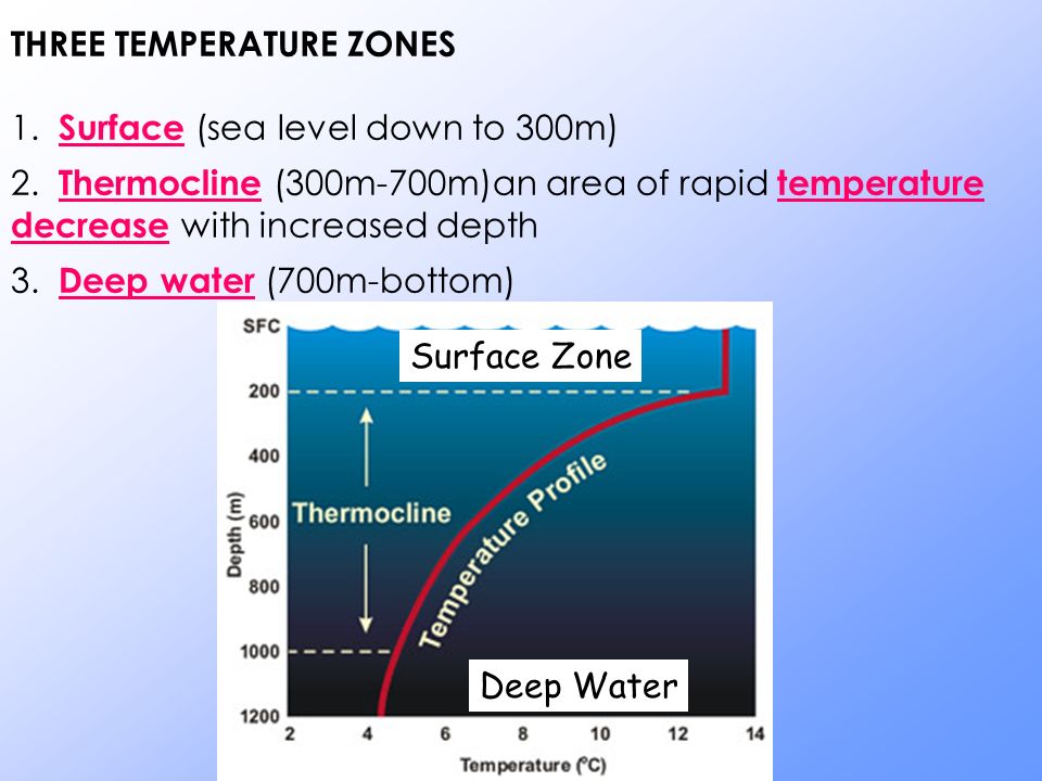 2 3 temp. Термоклин. Летнее и зимнее время термоклин. Water's characteristics. Surface and depth.
