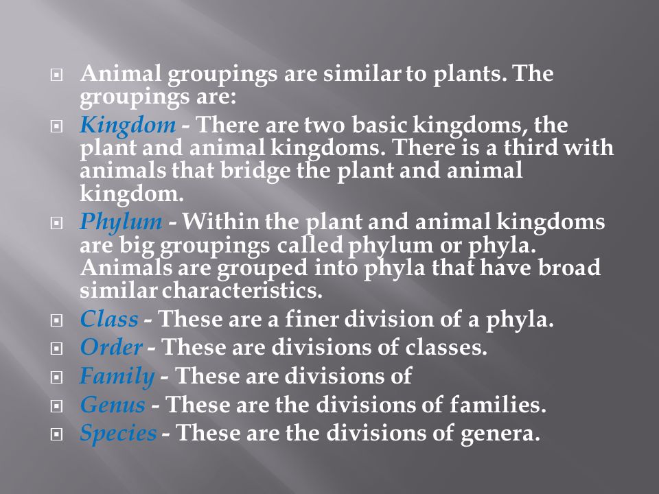 Classification Go to Section:.  The basic unit of an animal is the cell.   A cell is the smallest unit of any animal or plant. Some animals are one  celled, - ppt download