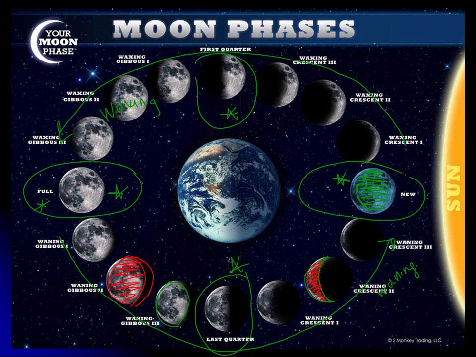 Какая луна мир космоса. Moon phases. Виджет фазы Луны. Moon phases Chart. Moon phase 2.