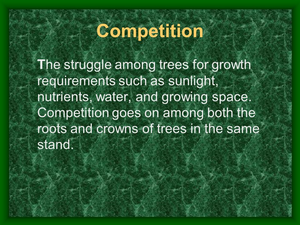 Competition The struggle among trees for growth requirements such as sunlight, nutrients, water, and growing space.