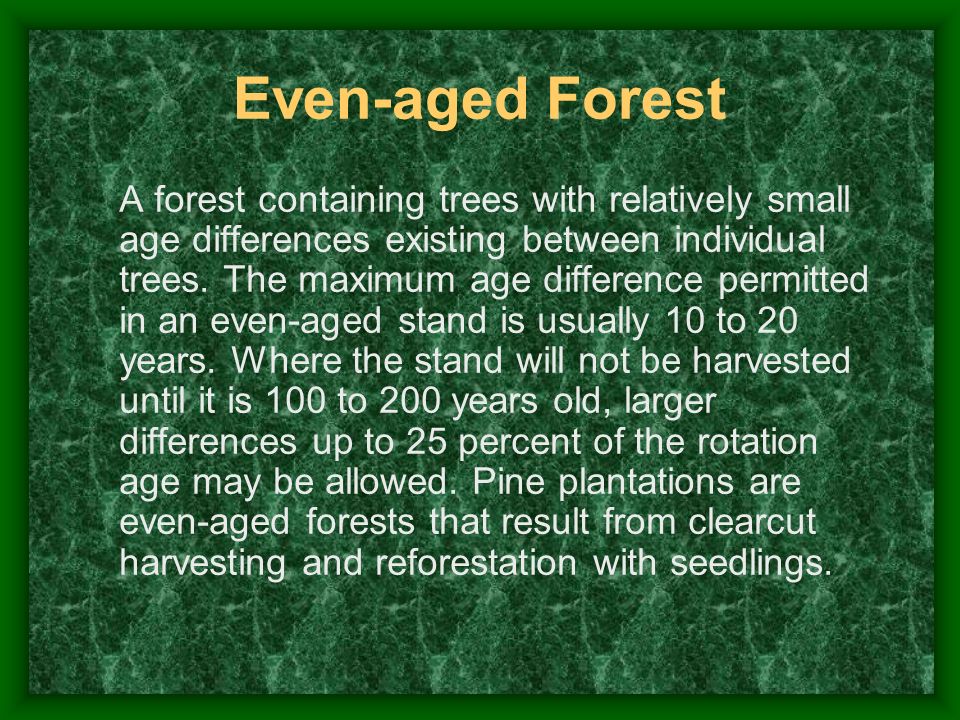 Even ‑ aged Forest A forest containing trees with relatively small age differences existing between individual trees.