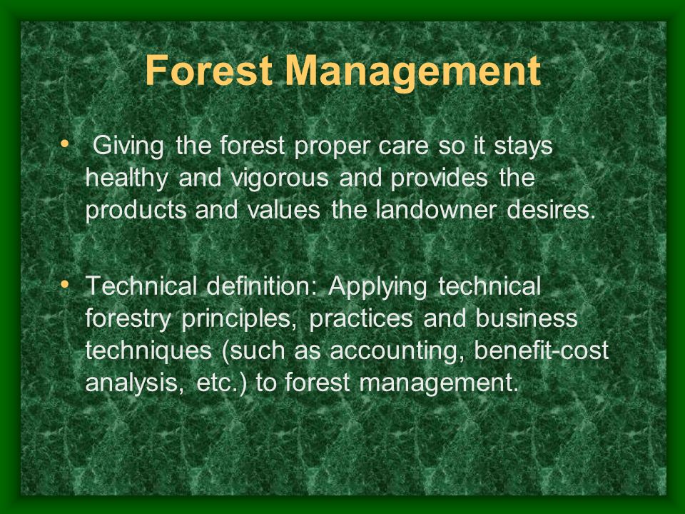 Forest Management Giving the forest proper care so it stays healthy and vigorous and provides the products and values the landowner desires.