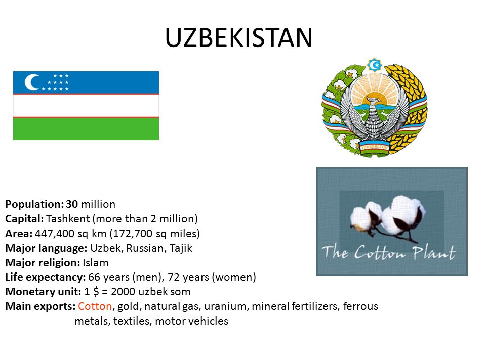 Узбекский язык на английском. Узбекский язык. Population of Uzbekistan. Узбекский язык для стран СНГ.