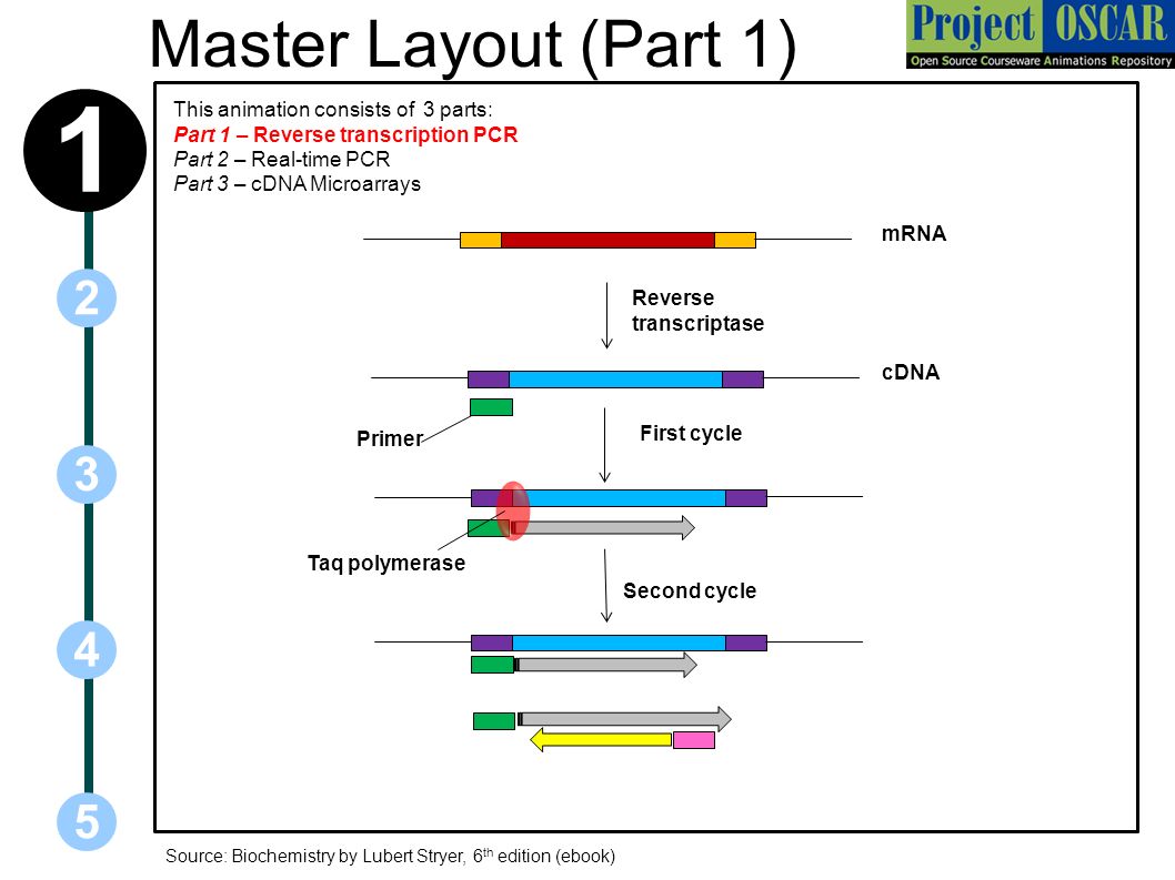 Transcriptomics Transcriptomics is the area of molecular biology dealing  with the study of mRNA molecules expressed by a particular cell type of an  individual. - ppt download