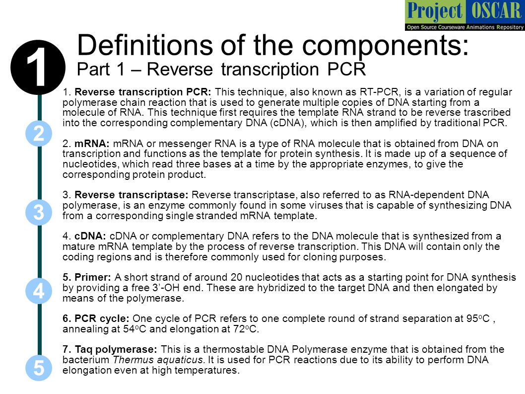 Transcriptomics Transcriptomics is the area of molecular biology dealing  with the study of mRNA molecules expressed by a particular cell type of an  individual. - ppt download