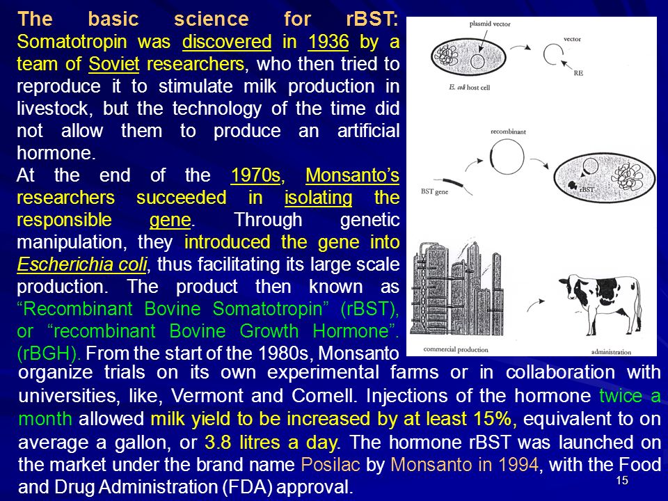 Animal Biotechnology By Mm Ranga Pdf