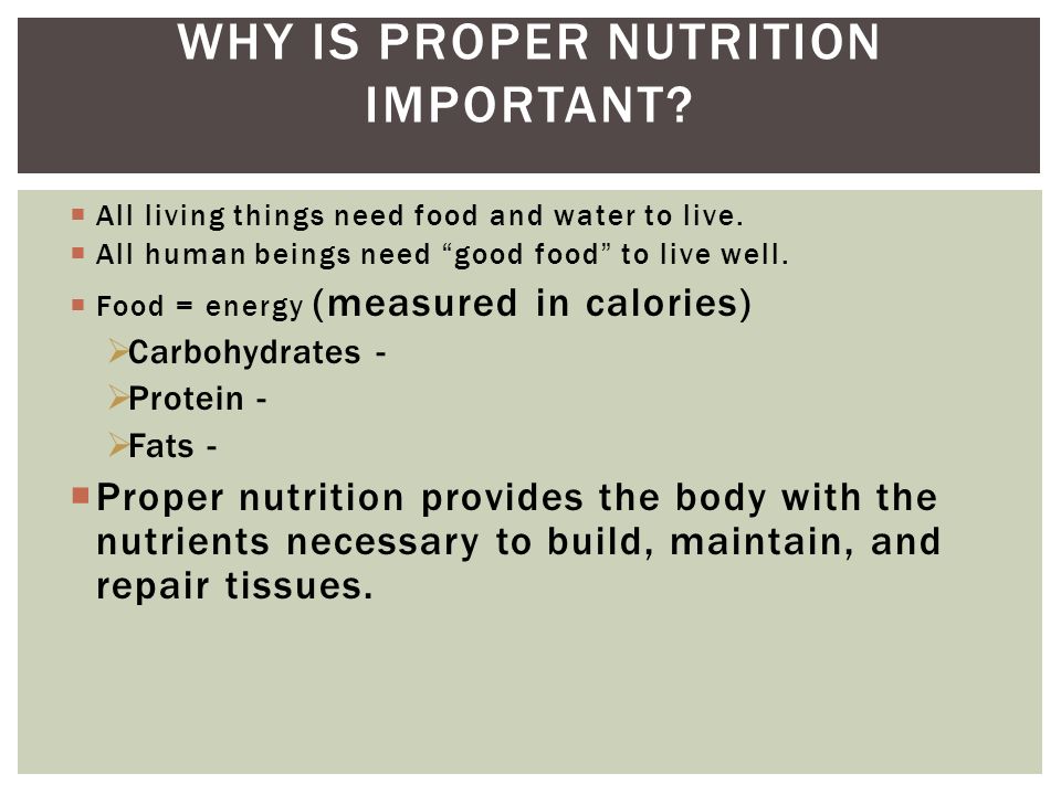 All Living Things Need Food And Water To Live All Living Things Need Food And Water To Live