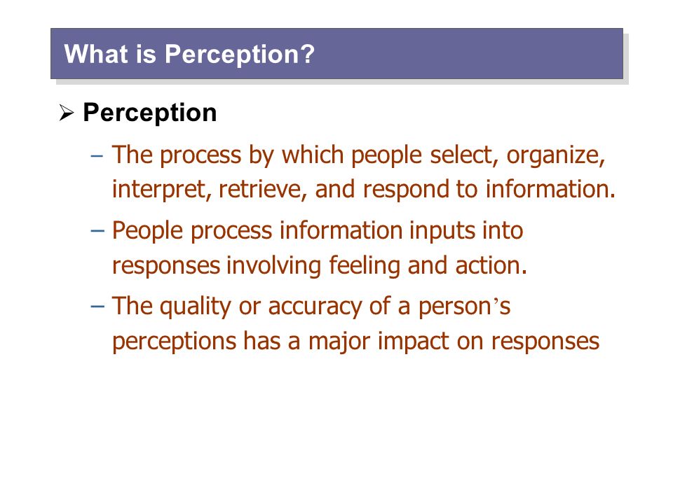 role of perception in decision making