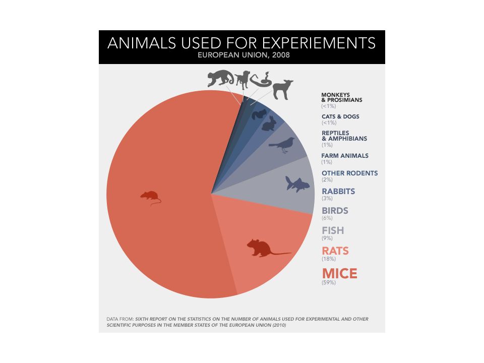 Animal Testing Graphs And Charts