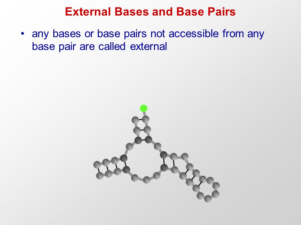 External Bases and Base Pairs any bases or base pairs not accessible from any base pair are called external