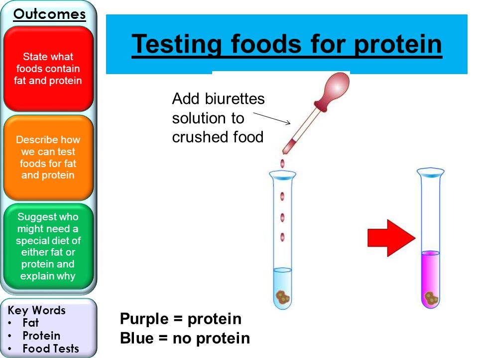 ms testing services