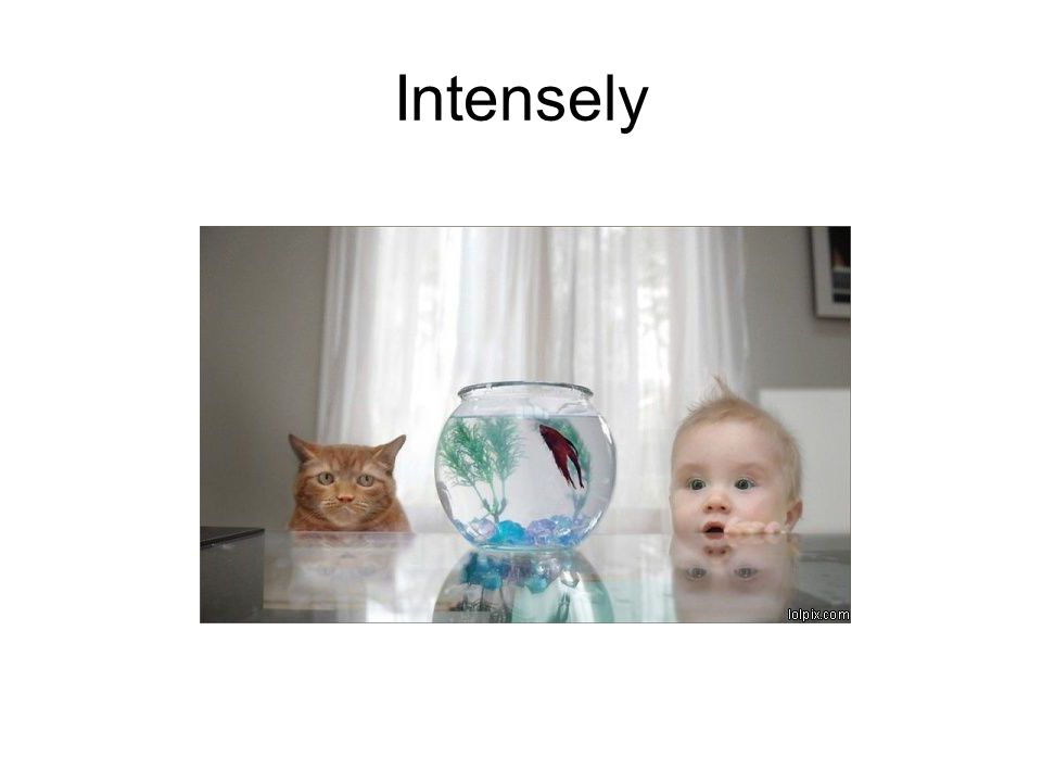 Intensely