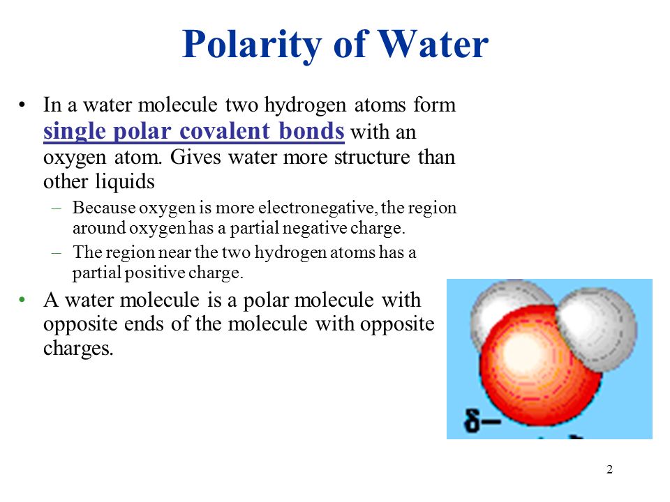 1 2 Polarity Of Water In A Water Molecule Two Hydrogen Atoms Form Single Polar Covalent Bonds With An Oxygen Atom Gives Water More Structure Than Other Ppt Download