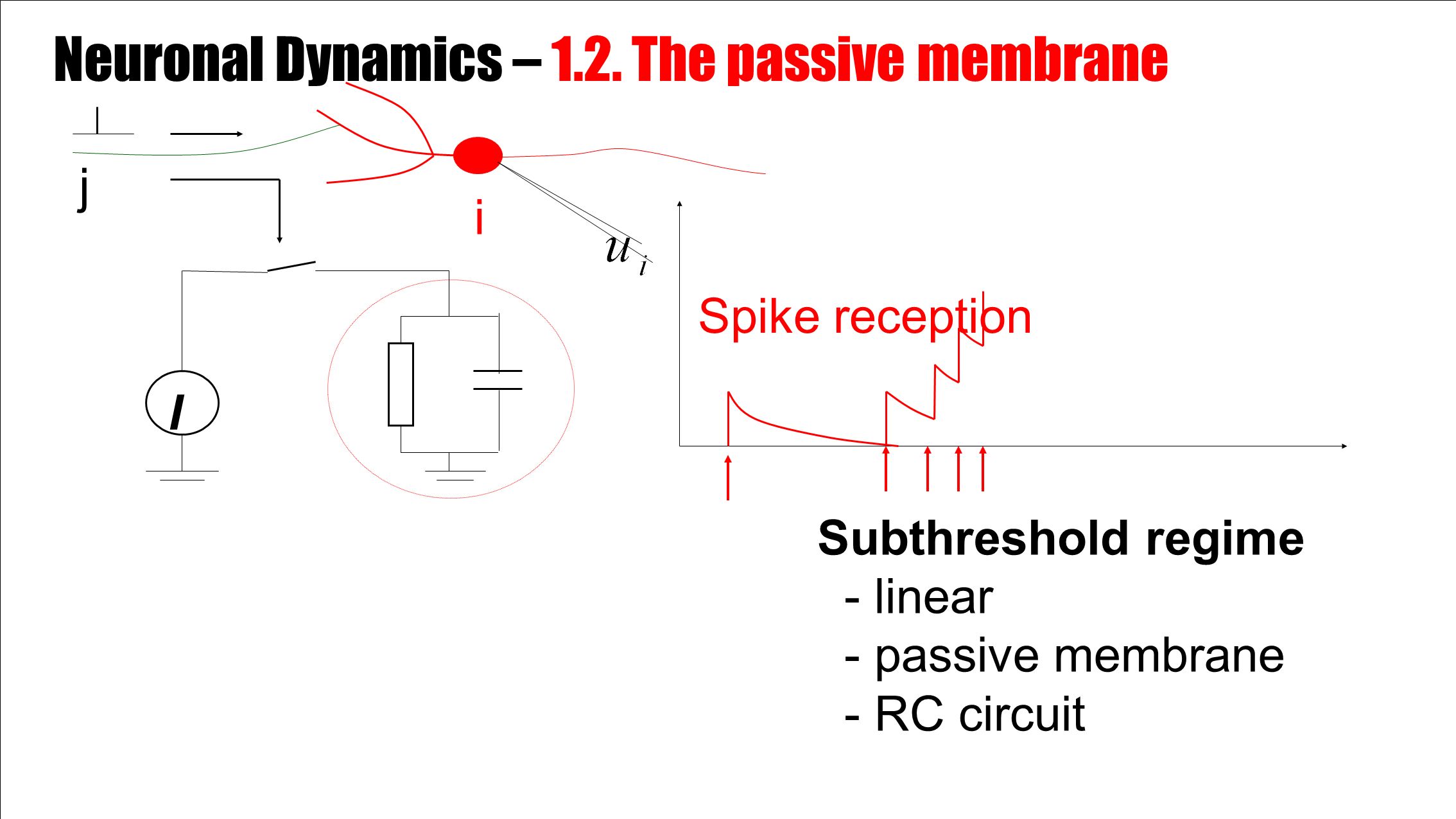 i Spike reception I j Subthreshold regime - linear - passive membrane - RC circuit Neuronal Dynamics – 1.2.