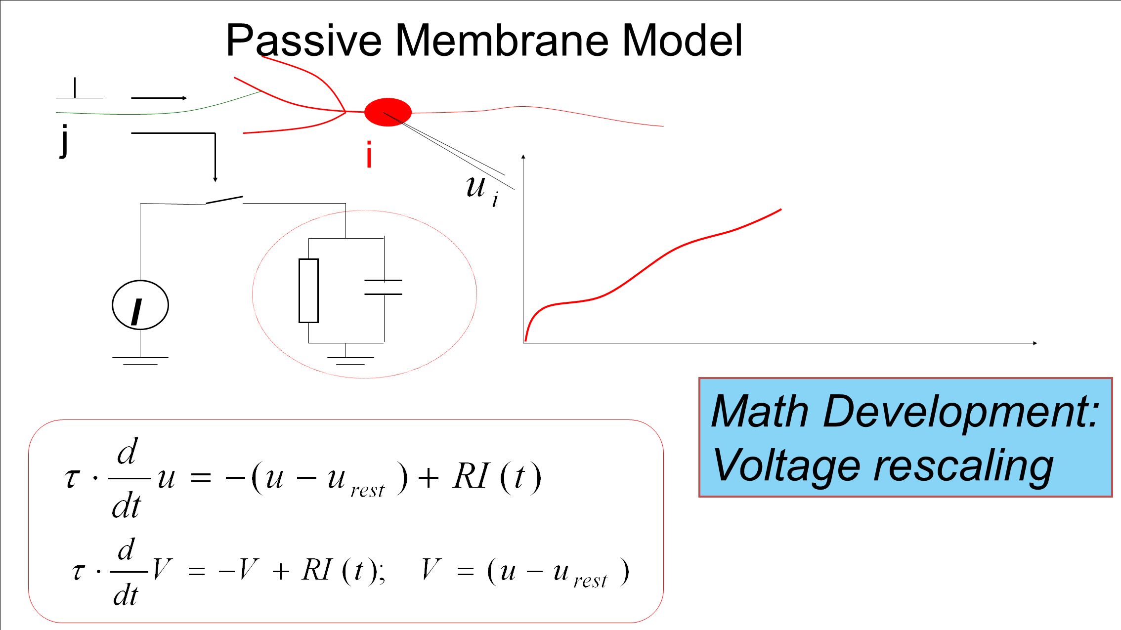 Passive Membrane Model i I j Math Development: Voltage rescaling