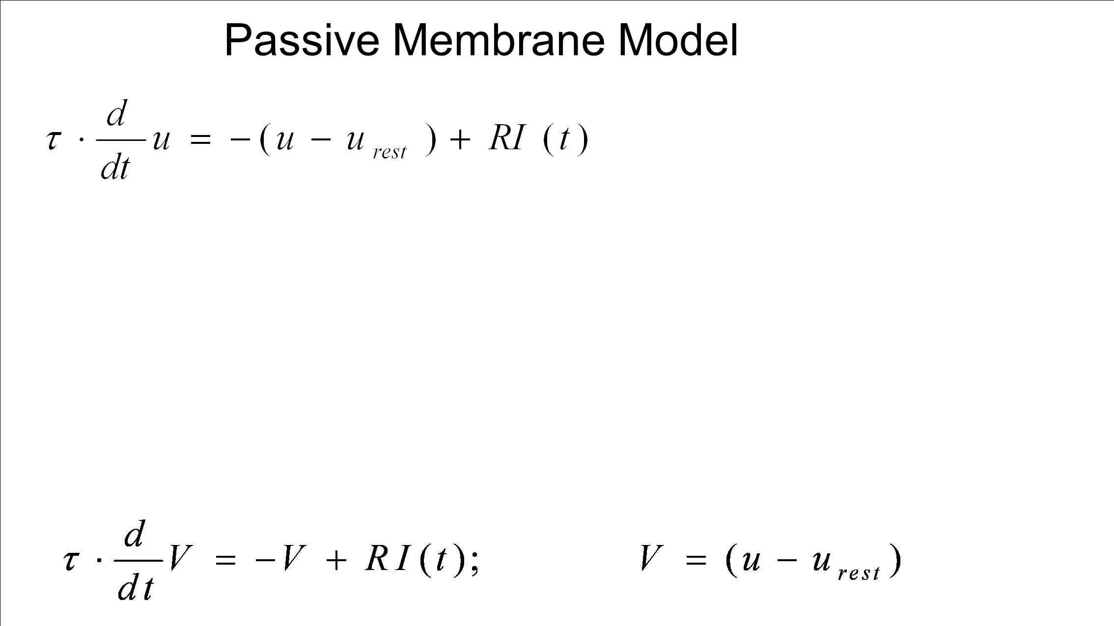 Passive Membrane Model
