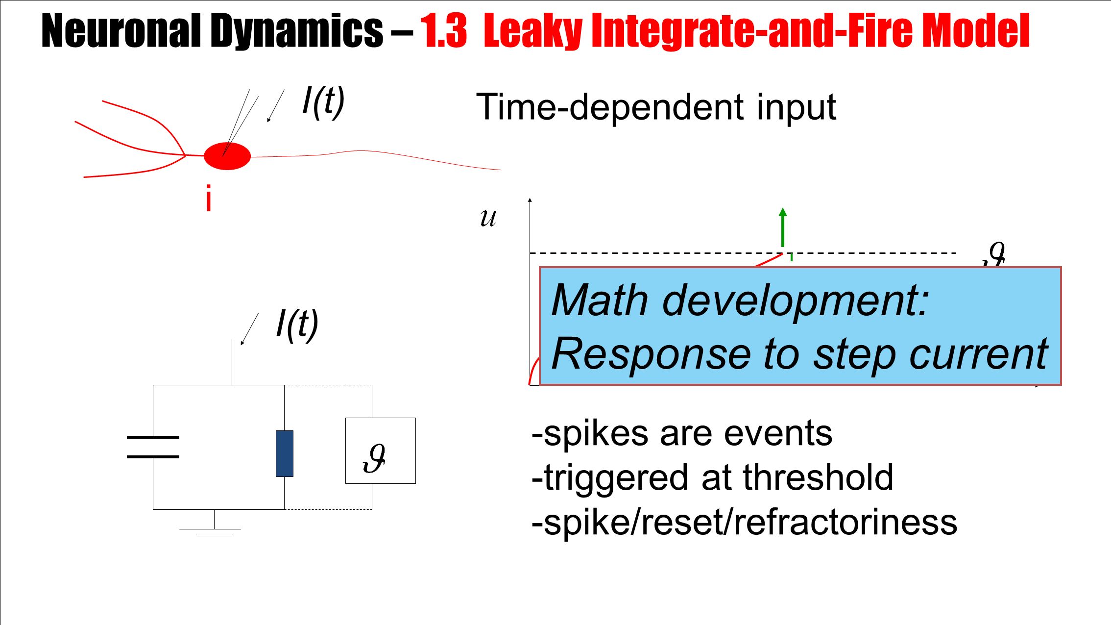 i -spikes are events -triggered at threshold -spike/reset/refractoriness I(t) Time-dependent input Math development: Response to step current Neuronal Dynamics – 1.3 Leaky Integrate-and-Fire Model