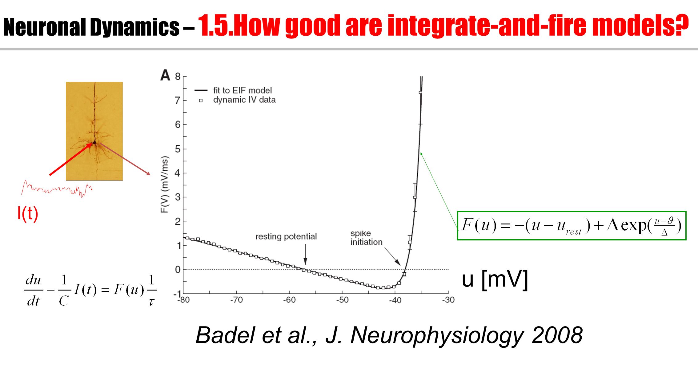 Neuronal Dynamics – 1.5.How good are integrate-and-fire models.