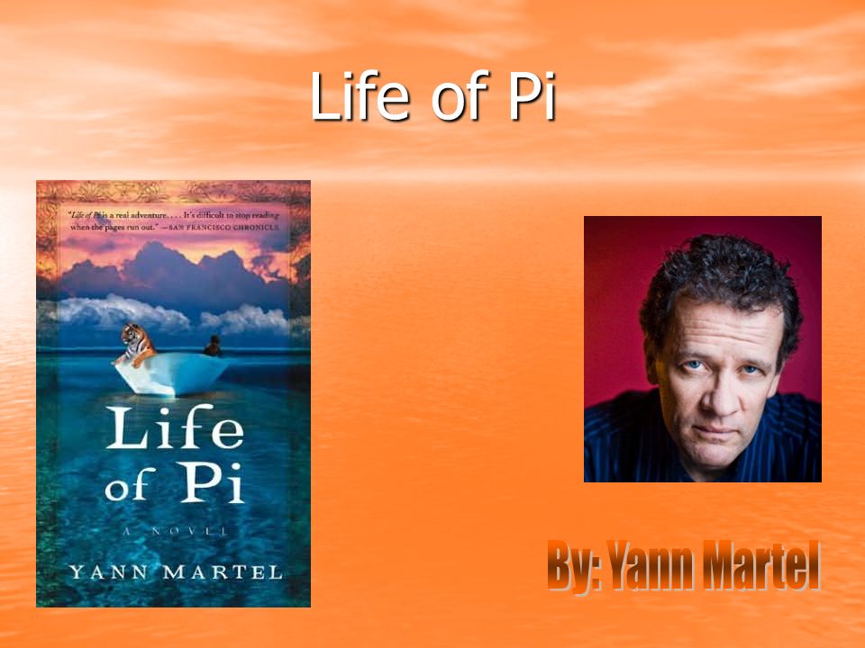 life of pi book number of pages