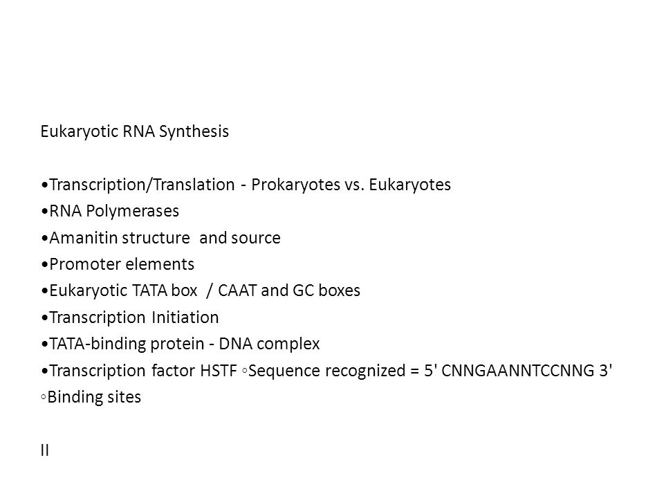 Eukaryotic RNA Synthesis Transcription/Translation - Prokaryotes vs.