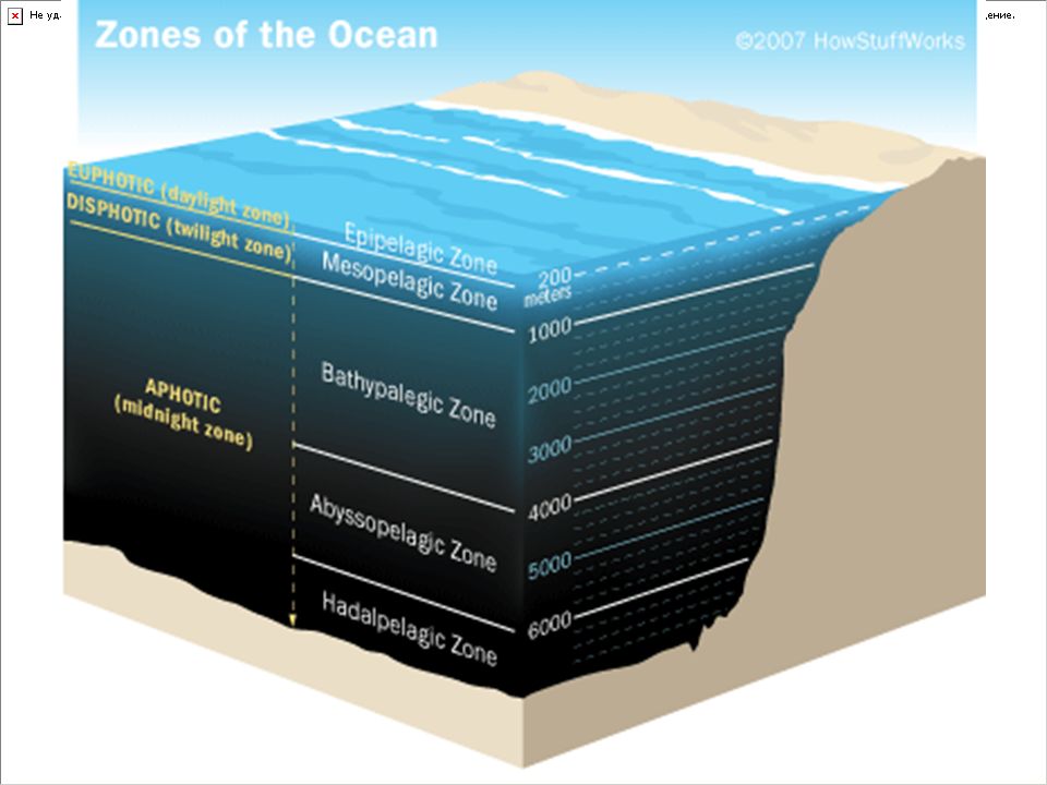 5 слоев океана. Слои океана. Слои океана по глубине. Водные слои океана.