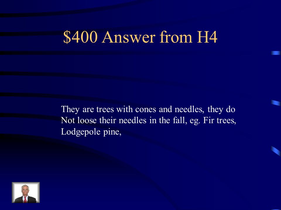 $400 Question from H4 What are coniferous trees and give some examples.