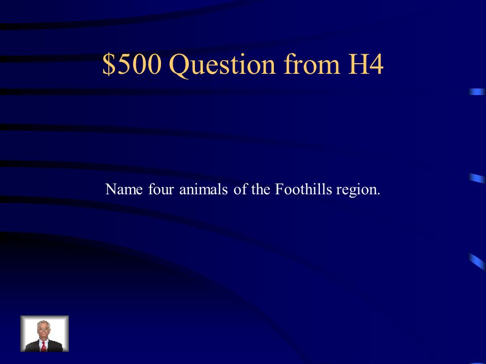 $400 Answer from H4 They are trees with cones and needles, they do Not loose their needles in the fall, eg.
