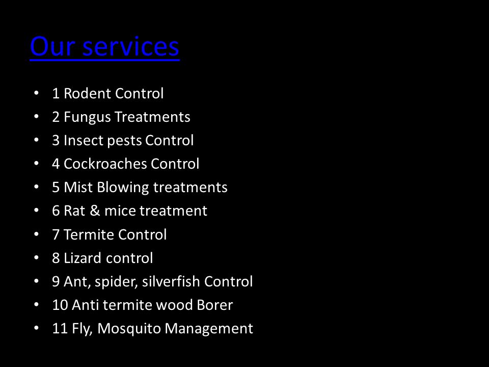 Our services 1 Rodent Control 2 Fungus Treatments 3 Insect pests Control 4 Cockroaches Control 5 Mist Blowing treatments 6 Rat & mice treatment 7 Termite Control 8 Lizard control 9 Ant, spider, silverfish Control 10 Anti termite wood Borer 11 Fly, Mosquito Management