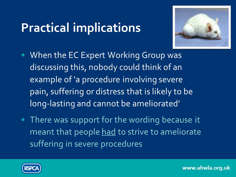 When the EC Expert Working Group was discussing this, nobody could think of an example of ‘a procedure involving severe pain, suffering or distress that is likely to be long-lasting and cannot be ameliorated’ There was support for the wording because it meant that people had to strive to ameliorate suffering in severe procedures Practical implications