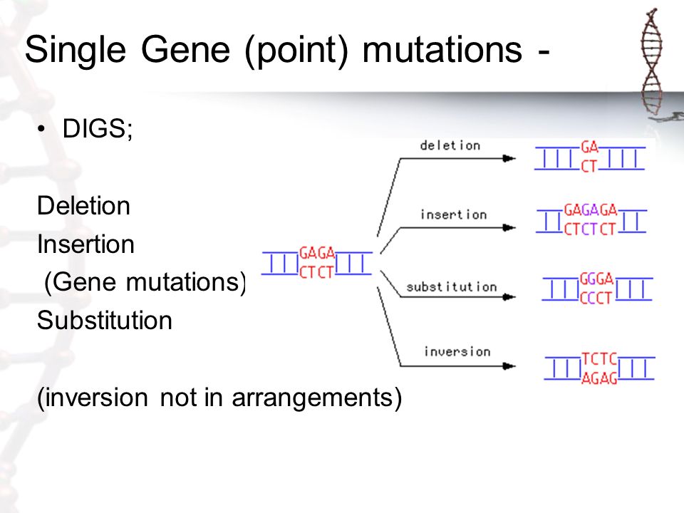 Single Gene (point) mutations - DIGS; Deletion Insertion (Gene mutations) S...