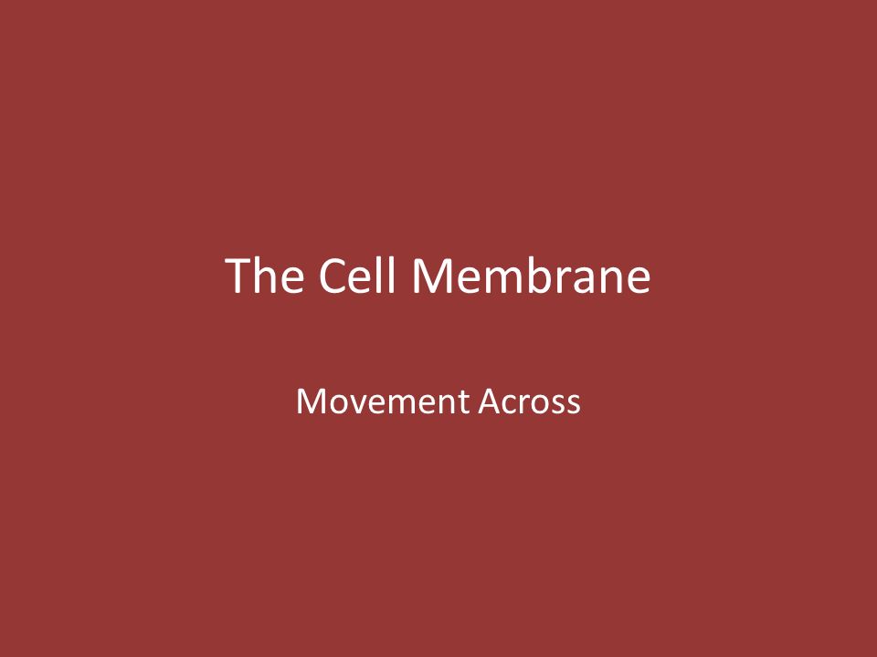 The Cell Membrane Movement Across