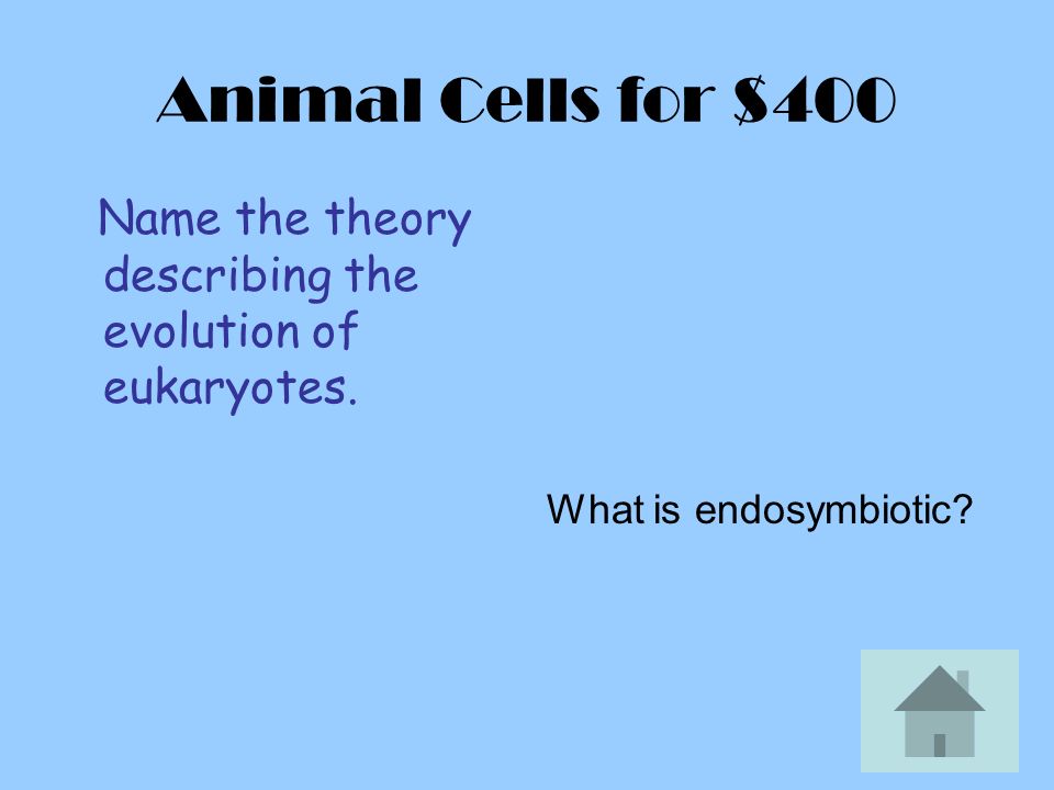 Animal Cells for $400 Name the theory describing the evolution of eukaryotes.