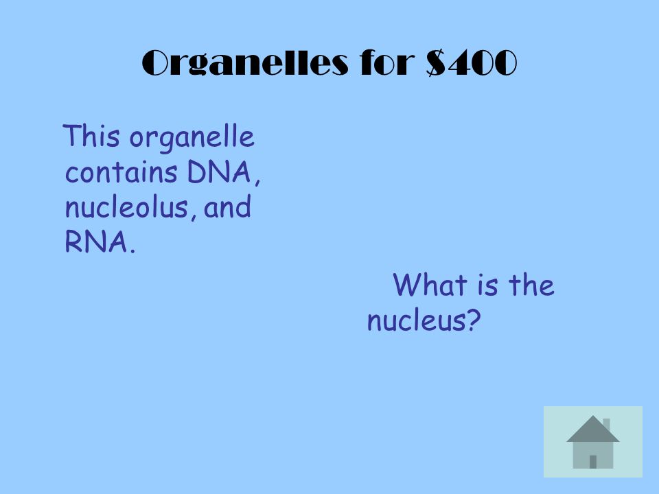 Organelles for $400 This organelle contains DNA, nucleolus, and RNA. What is the nucleus