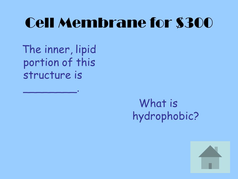 Cell Membrane for $300 The inner, lipid portion of this structure is ________. What is hydrophobic