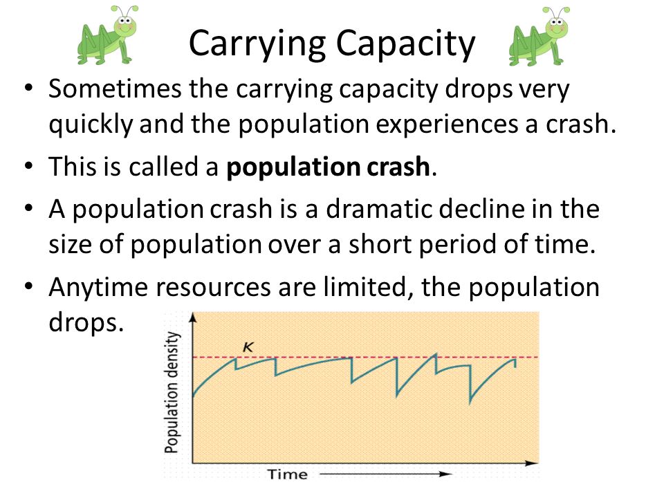 Carrying Capacity Sometimes the carrying capacity drops very quickly and the population experiences a crash.
