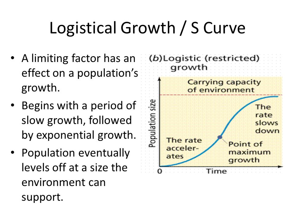 Logistical Growth / S Curve A limiting factor has an effect on a population’s growth.