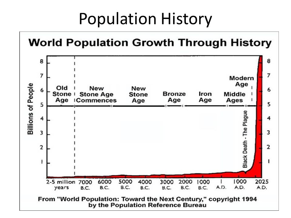 Population History