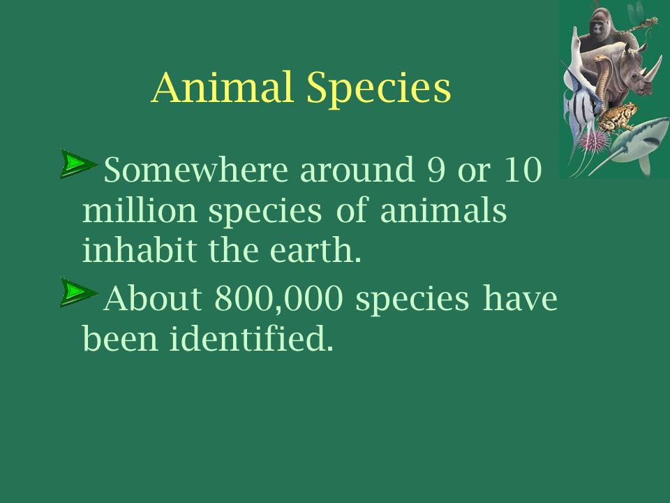 Animal Species Somewhere around 9 or 10 million species of animals inhabit the earth.