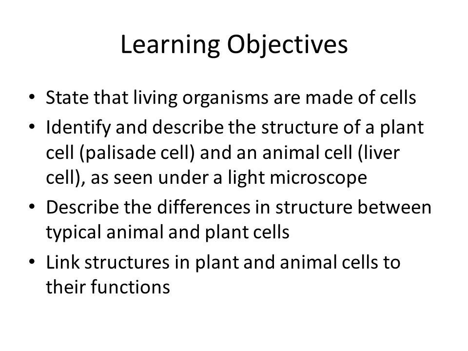 Cell Structure and Organization. Learning Objectives State that living  organisms are made of cells Identify and describe the structure of a plant  cell. - ppt download