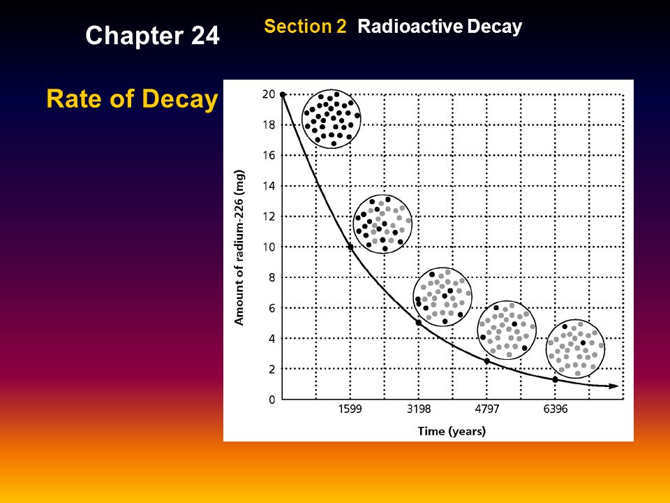 Rate of Decay Section 2 Radioactive Decay Chapter 24
