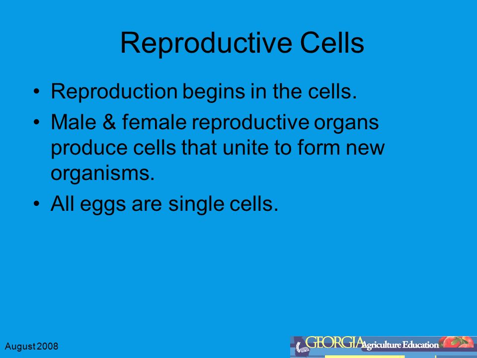 August 2008 Cells: Agriculture’s Building Blocks Original Power Point ...