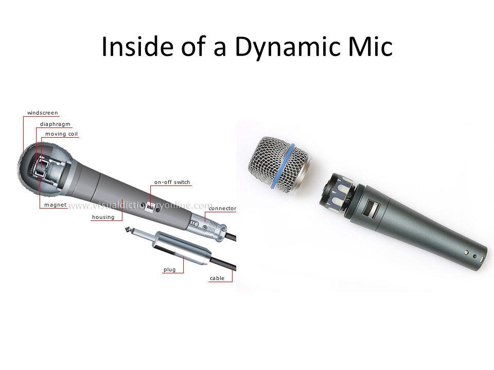 Microphones. Dynamic Microphones Hardy Does not require phantom power Shure  SM ppt download