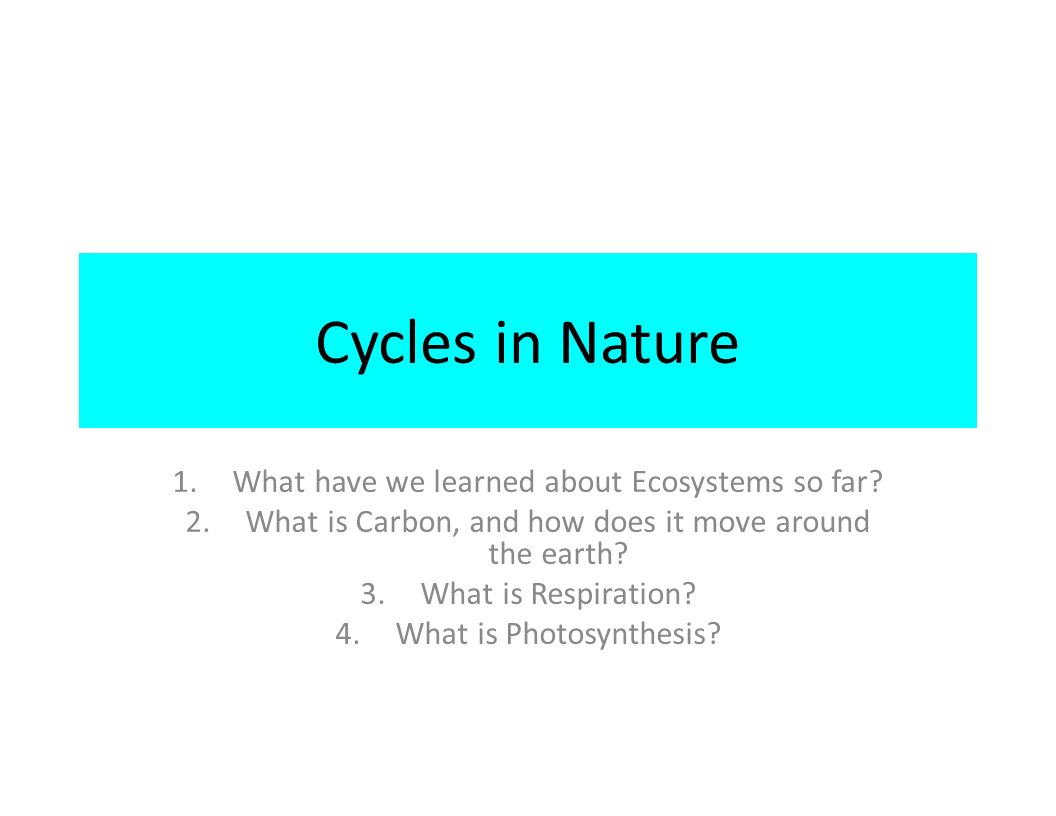 4 cycles in nature