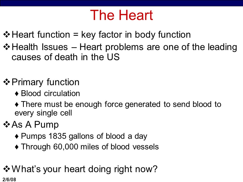 2 6 08 The Heart Chapter 18 2 6 08 The Heart Heart Function