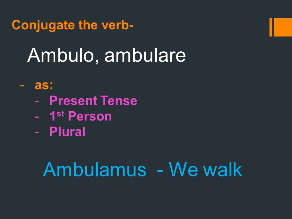 Conjugate the verb- Ambulo, ambulare -as: -Present Tense -1 st Person -Plural Ambulamus - We walk