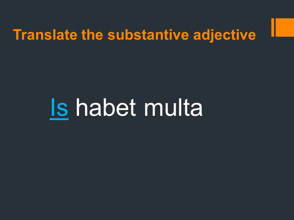 Translate the substantive adjective Is habet multa