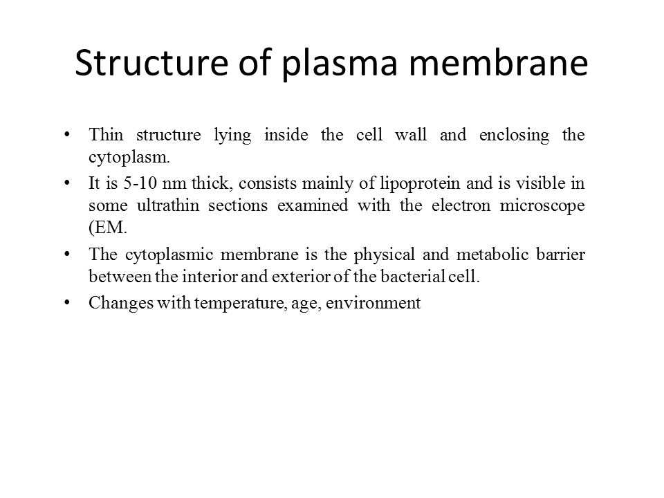 Structure of plasma membrane Thin structure lying inside the cell wall and enclosing the cytoplasm.